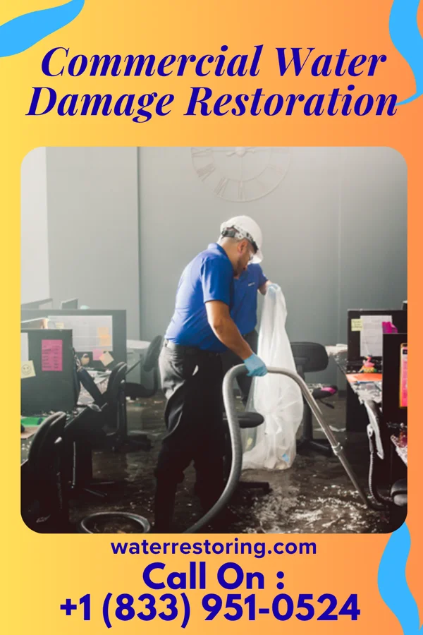 Commercial Water Damage Restoration in Leona, TX
